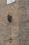 Ooit zat hier sierlijke gevelversiering.
<br/>
Marcel Westhoff, 2015-12-01